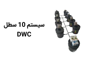 خرید سیستم 10 سطل هیدروپونیک DWC