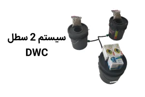 خرید سیستم 2 سطل هیدروپونیک DWC